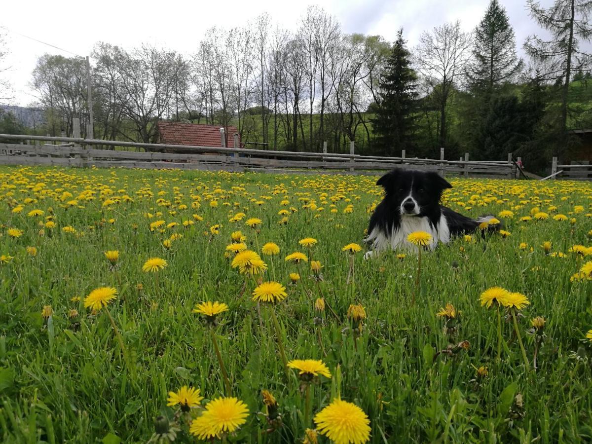 Holiday Raj Bešeňová Buitenkant foto
